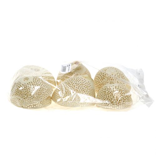 Cloche de fruits séchés blanchie pour fleurs funéraires 8,5-11 cm 10 pièces | Floristik24.be