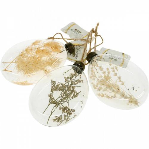 Floristik24 Herbes sèches dans un flacon à accrocher verre de décoration sec tricolore 3pcs
