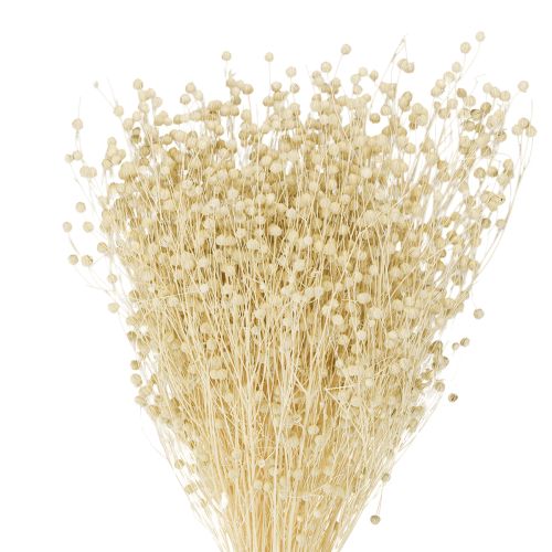 Floristik24 Herbe de lin séchée blanchie naturellement 50-55cm 180g
