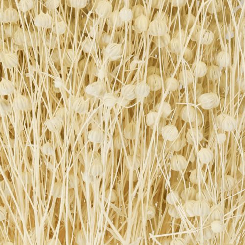 Article Herbe de lin séchée blanchie naturellement 50-55cm 180g