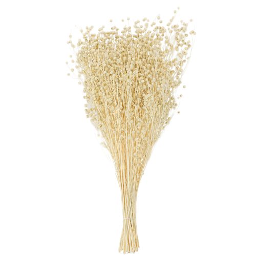 Article Herbe de lin séchée blanchie naturellement 50-55cm 180g
