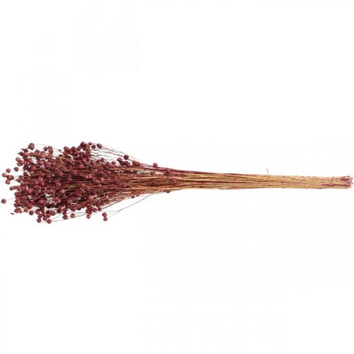 Article Herbe Séchée Lin Séché Vieux Rose H50–55cm 80g
