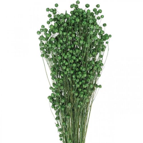 Article Herbe séchée Lin séché vert H50–55cm 80g