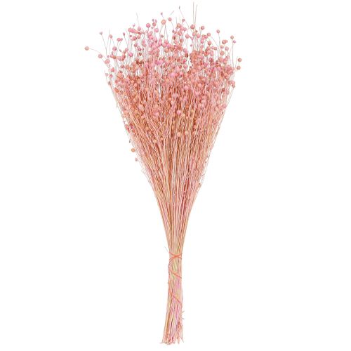 Article Lin séché à l'herbe sèche rose clair H50–55cm 80g