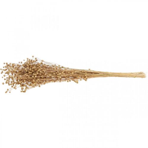 Floristik24 Herbe Séchée Lin Séché Naturel H50-55cm 80g