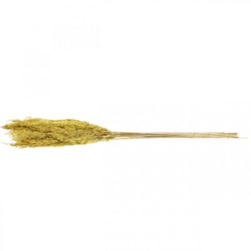 Article Décoration de carex d'herbe sèche jaune séché 70cm 10 pcs