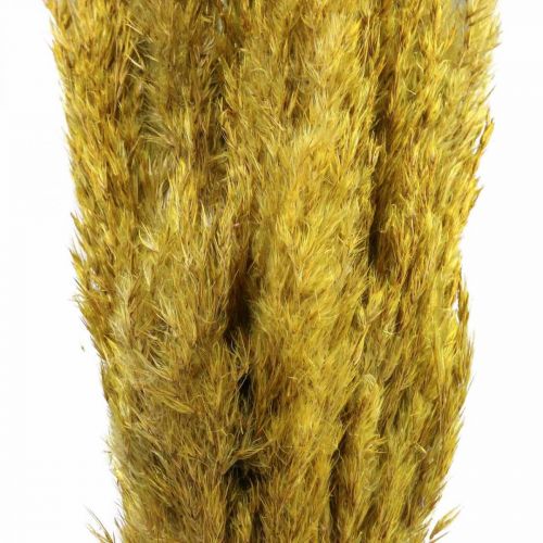 Article Décoration de carex d'herbe sèche jaune séché 70cm 10 pcs
