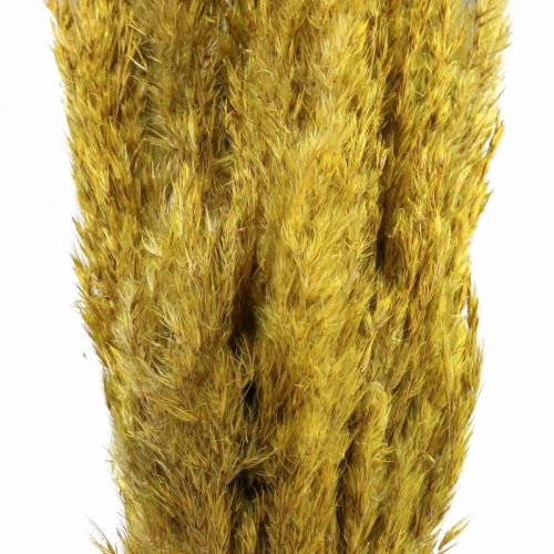 Article Herbe séchée carex déco jaune séché 70cm 10p