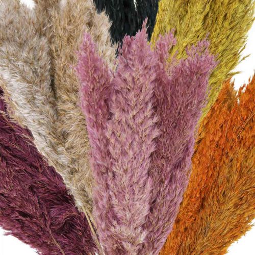 Article Carex d'herbe sèche séché diverses couleurs 70cm 10 pcs