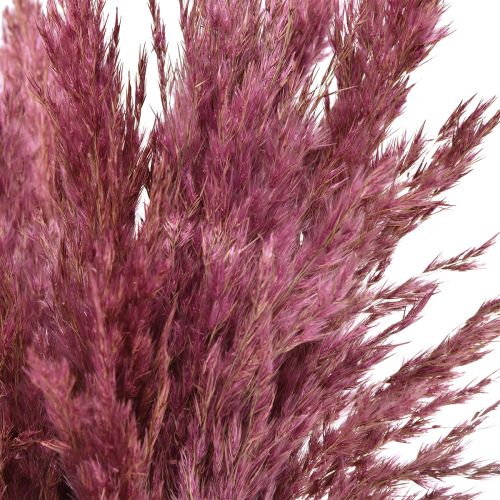 Article Herbe sèche carex herbe décorative séchée vieux rose 75cm 10 pièces