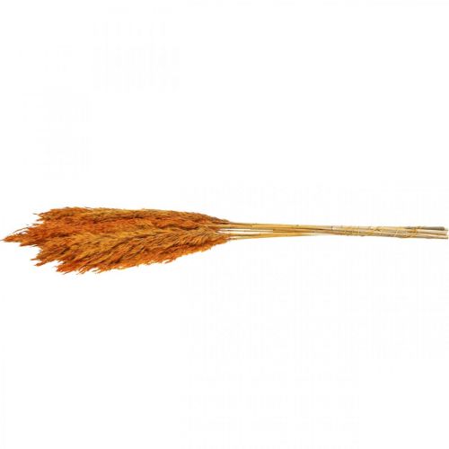 Article Carex d'herbe sèche herbe décorative séchée orange 70cm 10 pcs