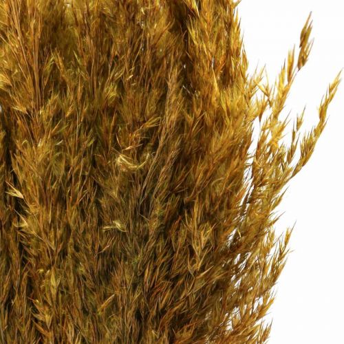 Article Carex d&#39;herbe sèche herbe décorative vert olive séchée 70cm 10 pièces