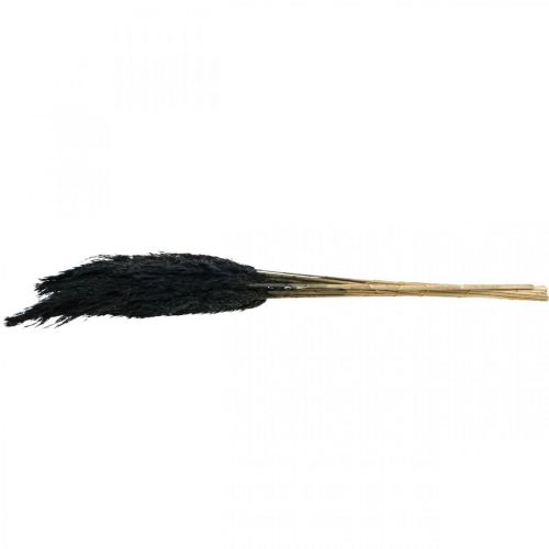 Article Carex d'herbe sèche herbe décorative noire séchée 70cm 10 pièces