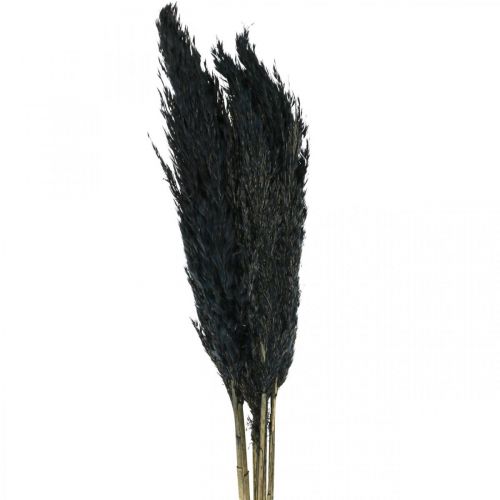 Article Carex d&#39;herbe sèche herbe décorative noire séchée 70cm 10 pièces