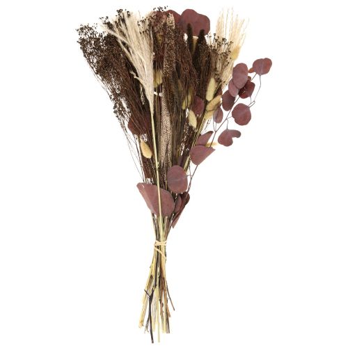 Floristik24 Bouquet sec eucalyptus herbe sèche bouquet 60cm 120g