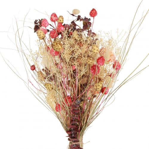 Floristik24 Bouquet sec de centaurée fraise chardon rouge blanchi 150g