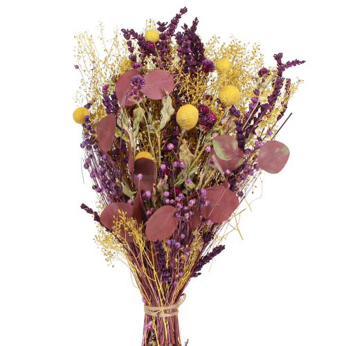 Article Bouquet sec jaune violet vert craspedia eucalyptus 53cm 150g