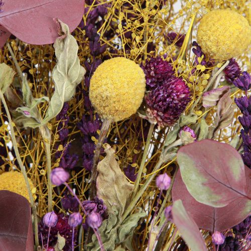 Article Bouquet sec jaune violet vert craspedia eucalyptus 53cm 150g