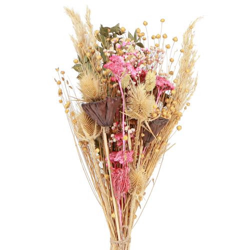 Floristik24 Bouquet sec lotus lin chardon rose crème 50cm 100g