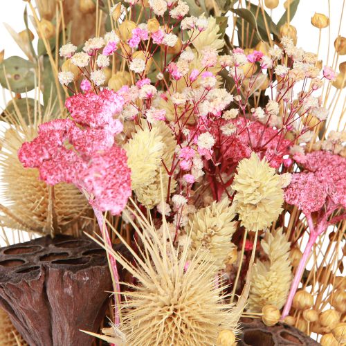 Floristik24 Bouquet sec lotus lin chardon rose crème 50cm 100g