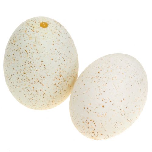 Article Oeufs de dinde nature 6,5cm 10pcs