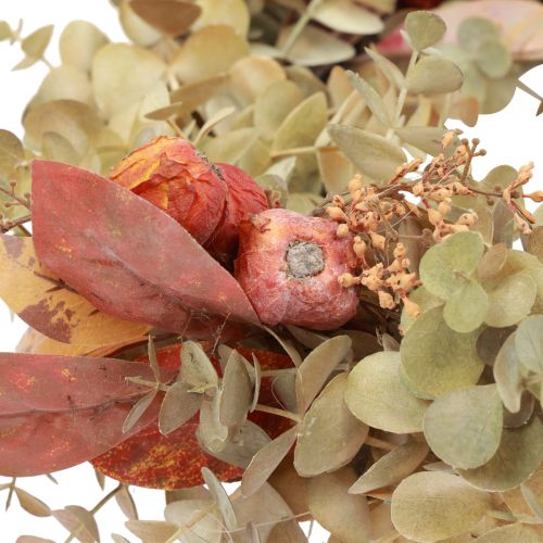 Floristik24 Couronne de porte eucalyptus couronne d'eucalyptus décoration artificielle Ø55cm