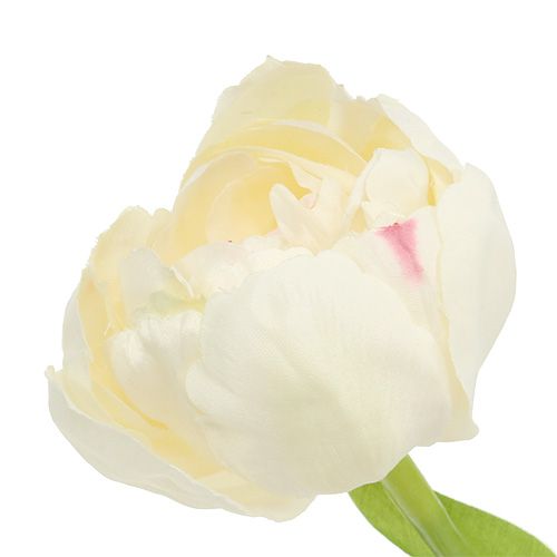 Article Tulipe crème 37cm 6pcs