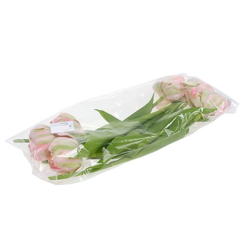 Floristik24 Tulipe rose, vert 37cm 6pcs