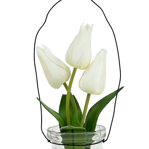 Tulipe blanche dans le verre H21cm 1P