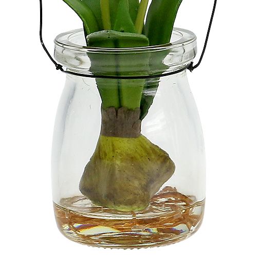 Floristik24 Tulipe blanche dans le verre H21cm 1P