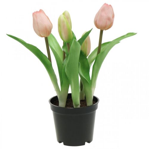 Floristik24 Tulipe rose, verte en pot Tulipe décorative artificielle en pot H23cm