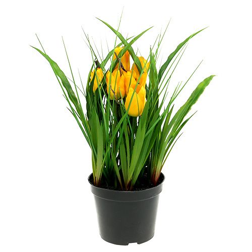 Floristik24 Tulipes en pot jaune 30cm