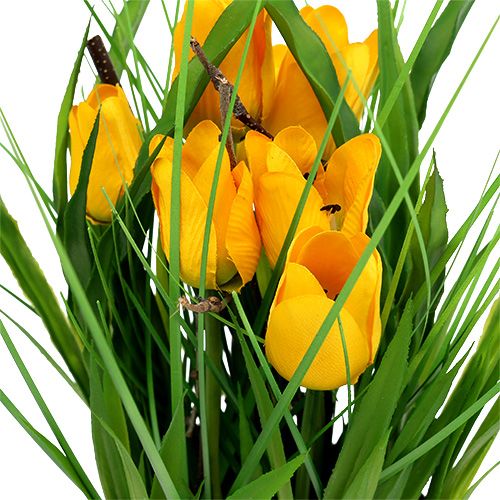 Floristik24 Tulipes en pot jaune 30cm