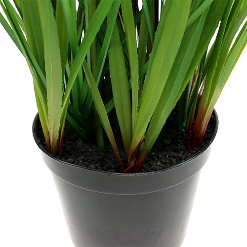 Floristik24 Tulipes en pot jaune 30cm