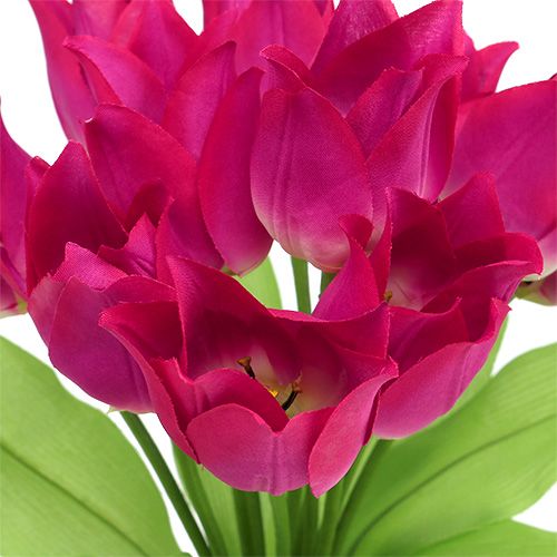 Floristik24 Tulipier rose L 30cm