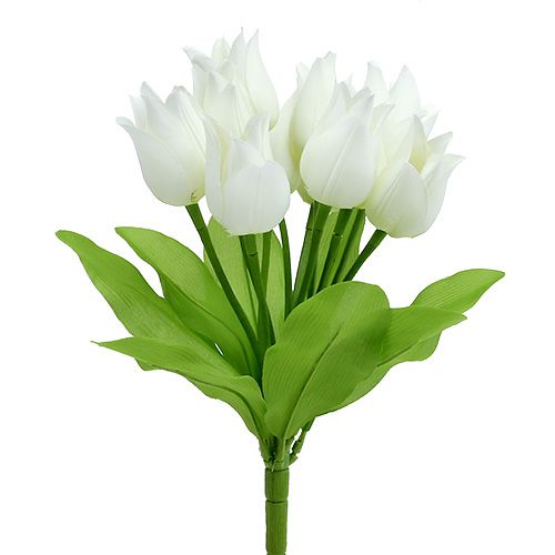 Floristik24 Tulipier blanc 30cm