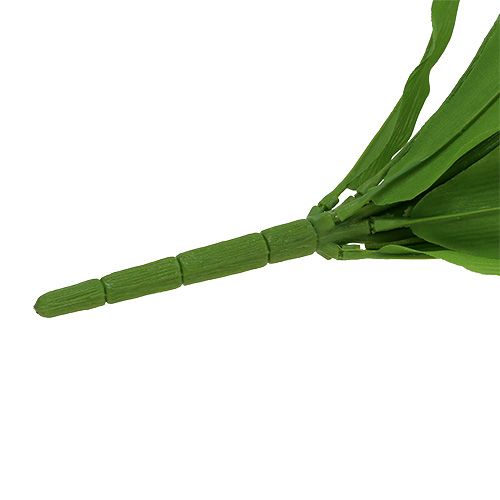 Floristik24 Tulipier blanc 30cm