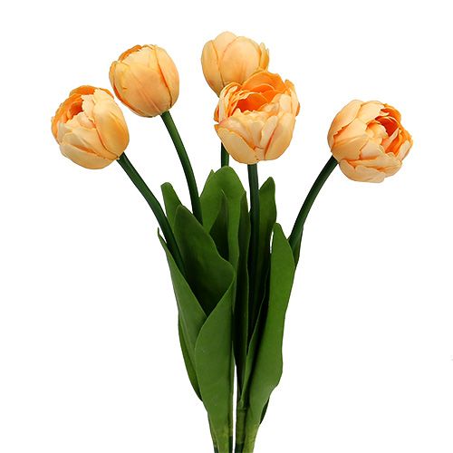 Floristik24 Bouquet de tulipes abricot 43cm