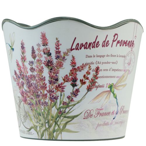 Floristik24 Jardinière plastique pot de fleur lavande Ø13,5cm H12cm