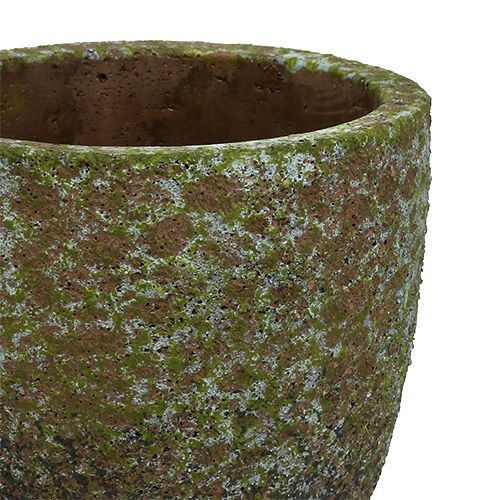 Floristik24 Gris Maçonnerie, Vert Ø14cm H14cm 2pcs