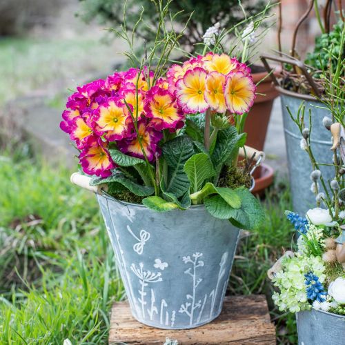 Jardinière jardinière seau métal déco vintage Ø18cm H17.5cm