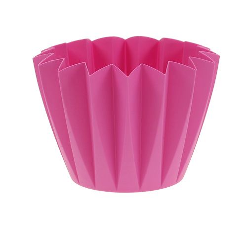 Floristik24 Rempotage Adonis Azalée 14cm 20 pcs