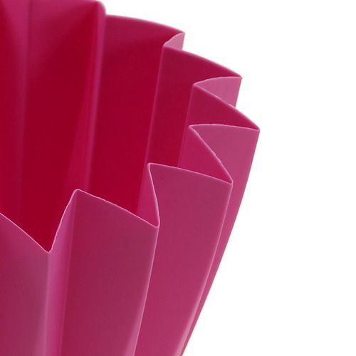 Floristik24 Rempotage Adonis Azalée 14cm 20 pcs