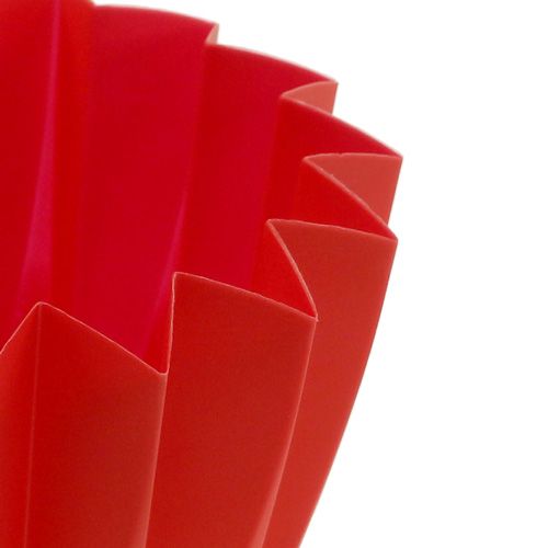 Floristik24 Pot Adonis Rouge 14cm 20 pcs