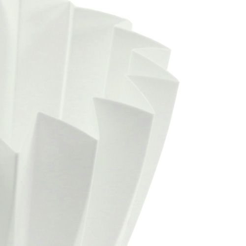 Floristik24 Pot Adonis blanc 14cm 20 pcs