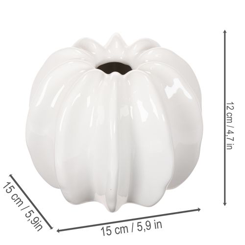 Vase en céramique en forme de citrouille, blanc, décoration intérieure, 15 cm | Floristik24.be