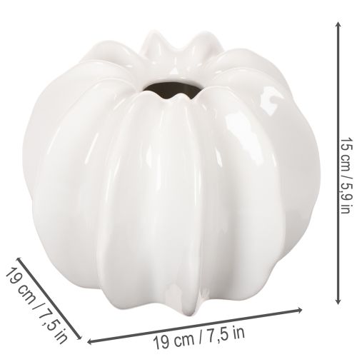 Vase décoratif en forme de citrouille, finition brillante, décoration automnale pour le salon, 19 cm | Floristik24.be