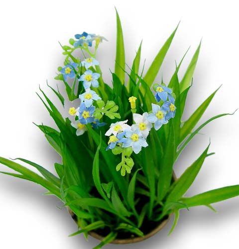 Floristik24 Myosotis avec herbe et bol 18cm