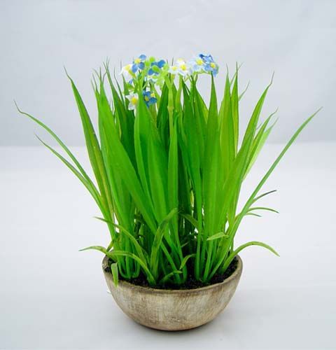 Floristik24 Myosotis avec herbe et bol 18cm