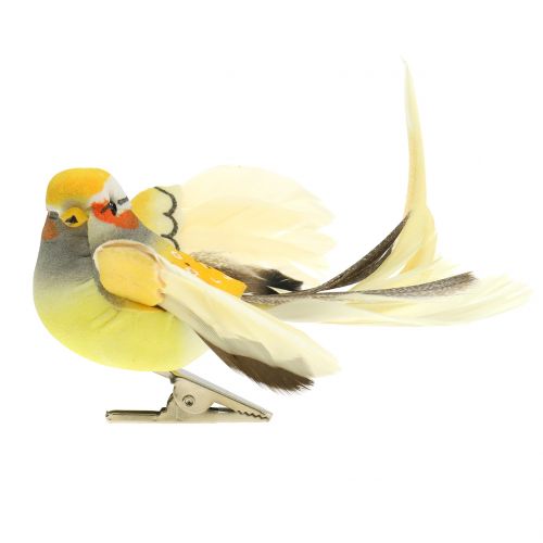 Floristik24 Oiseau sur clip orange 14cm 8pcs